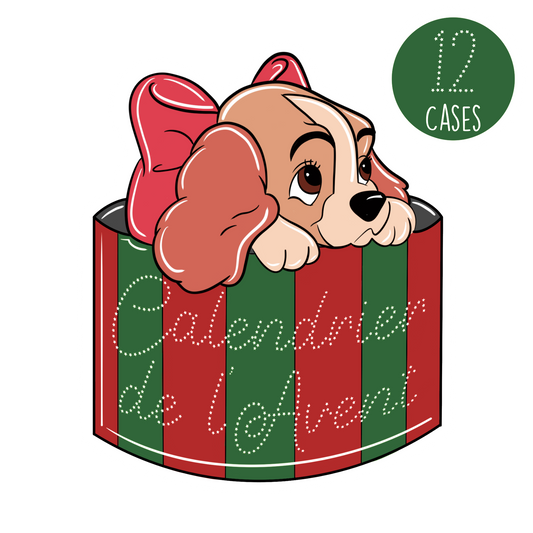 Calendrier de l'avent 12 cases