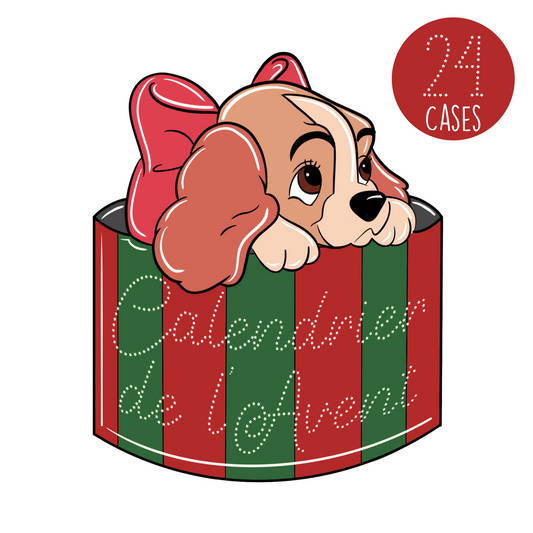 Calendrier de l'avent 24 cases